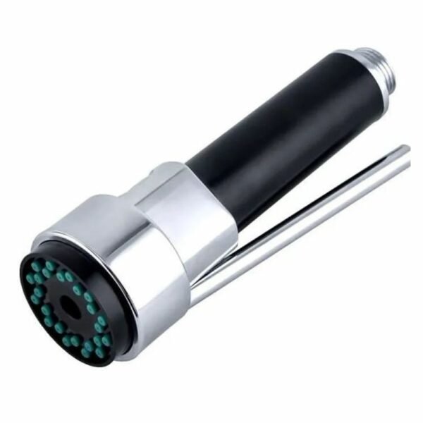 Douchette Mitigeur Cuisine Pro Rasting