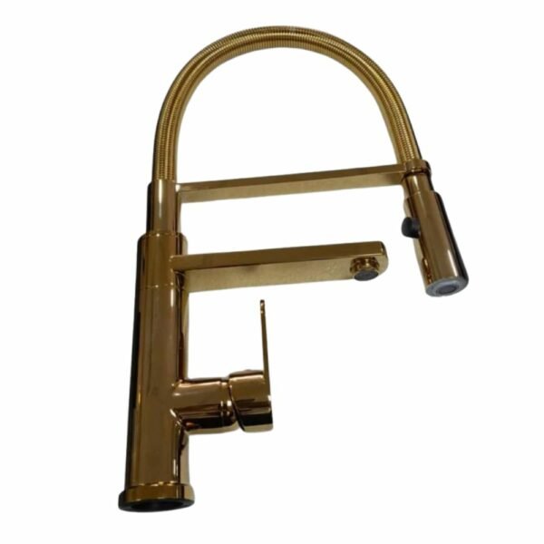 Mitigeur Cuisine Pro Dore Double Inas Ref:6128G Teda