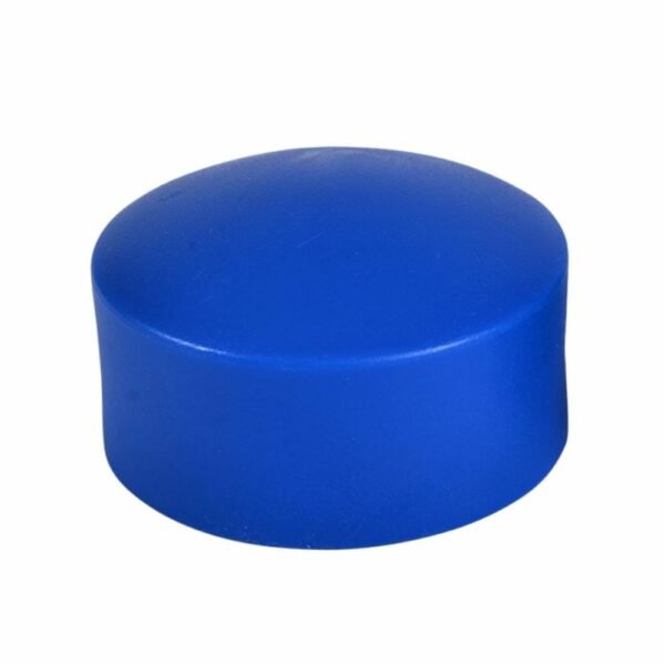 Bouchon PPR 25 Bleu